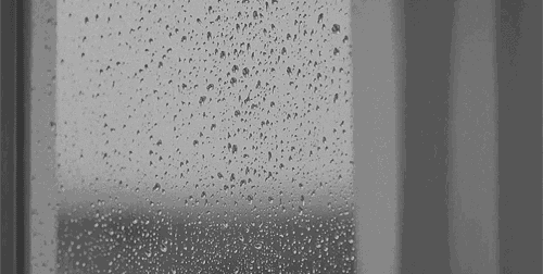 Tumblr_l_139072087126788.gif