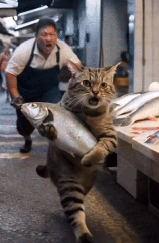 Tumblr_l_26619641200000.gif