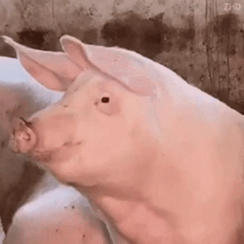 Tumblr_l_279298379708503.gif