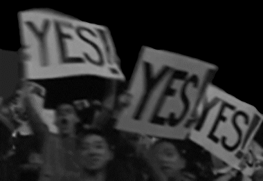 Tumblr_l_36545363133348.gif