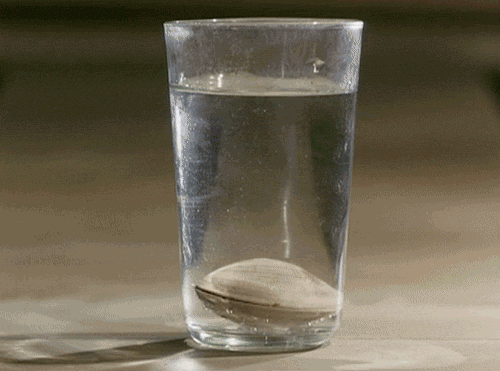 Tumblr_l_38577405996843.gif