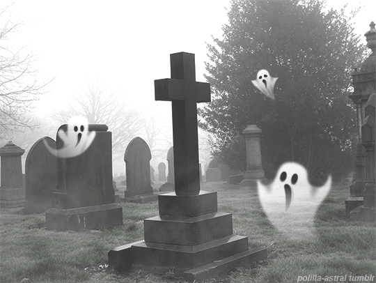Tumblr_l_440794654352625.gif