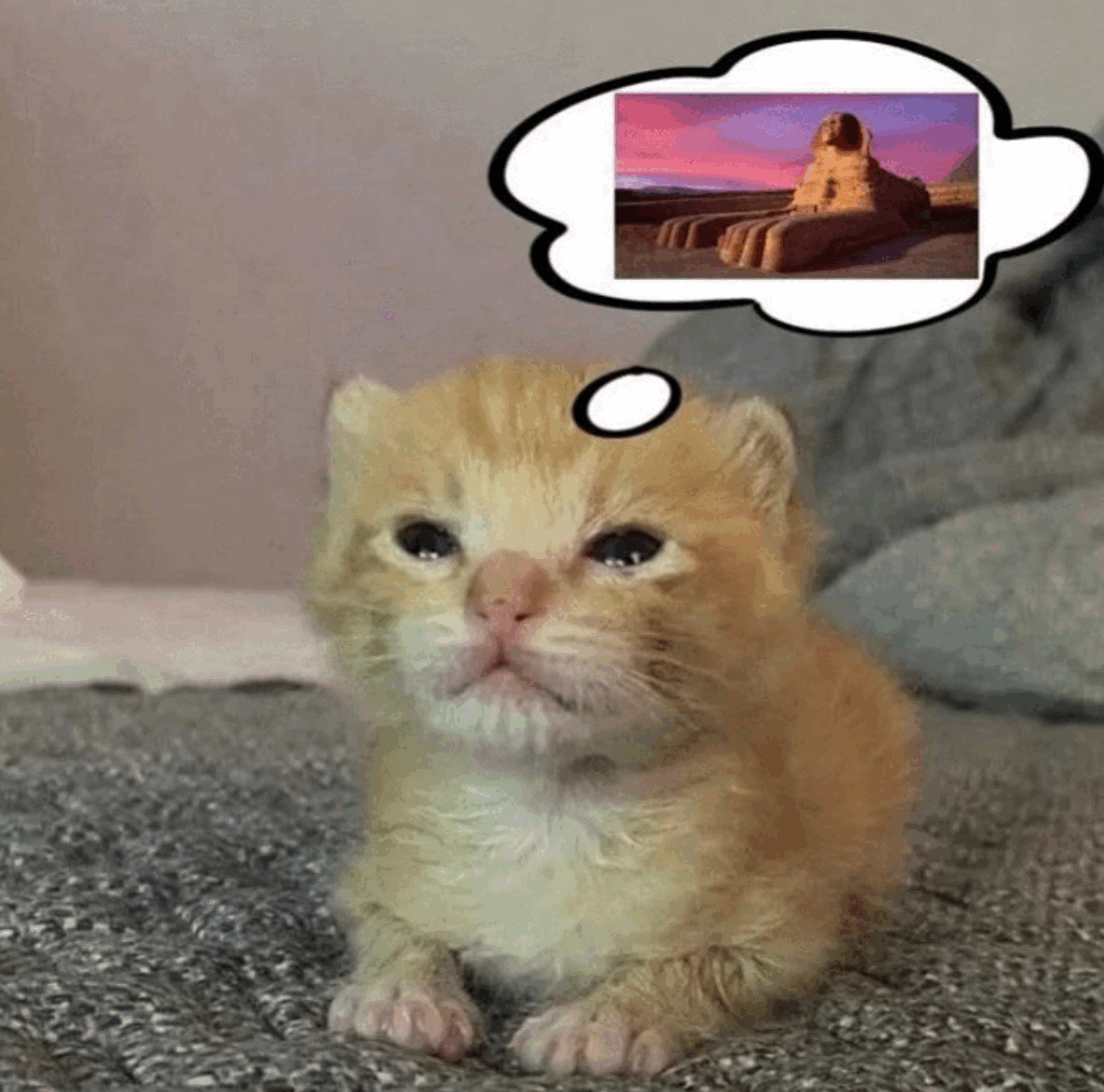Tumblr_l_482331379485048.gif