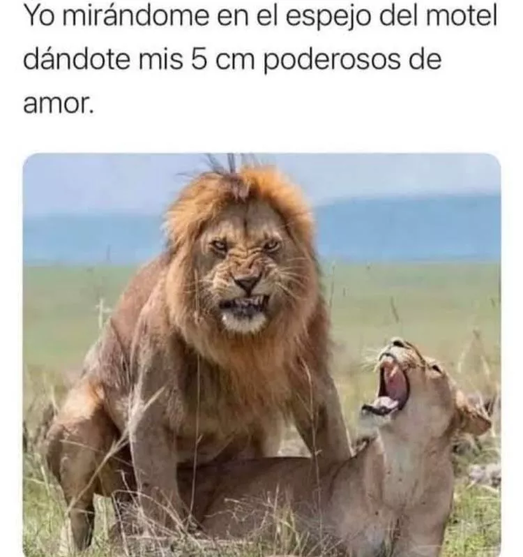 Tumblr_l_676365373006090.webp