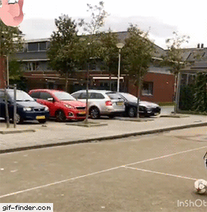 Tumblr_l_850471532652153.gif