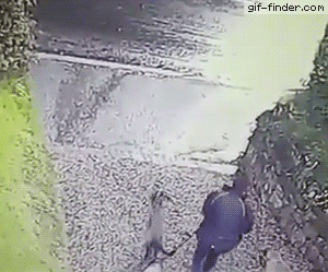 Tumblr_l_851092513189498.gif