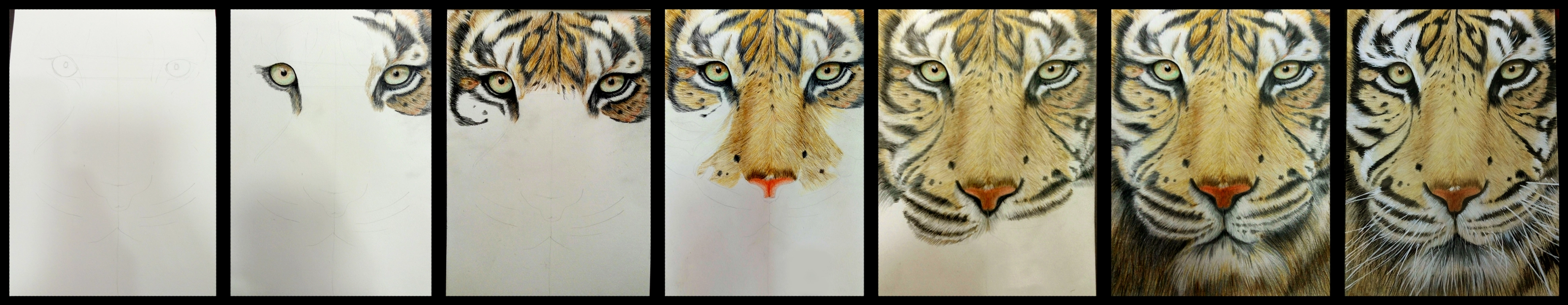 tutorial.webp