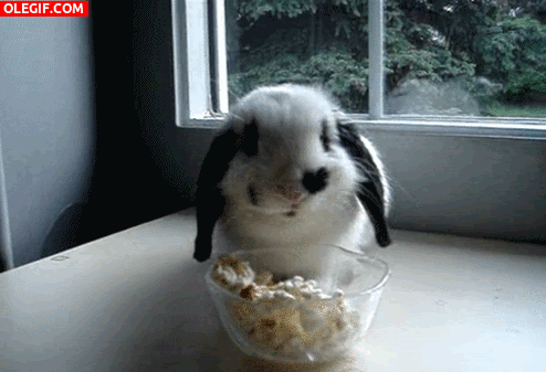 unnamed.gif