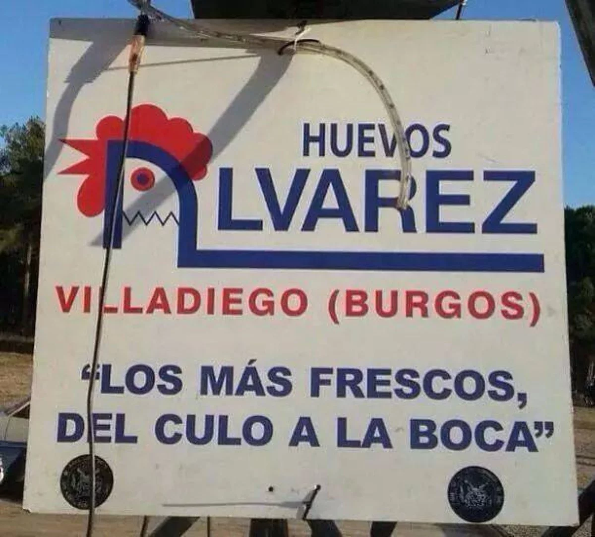 VOYCNRB4XJLRLEA3KL3LV7V66Q.webp