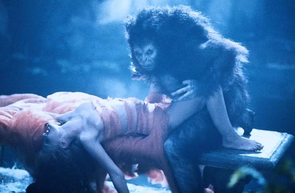 w1500_169482.webp