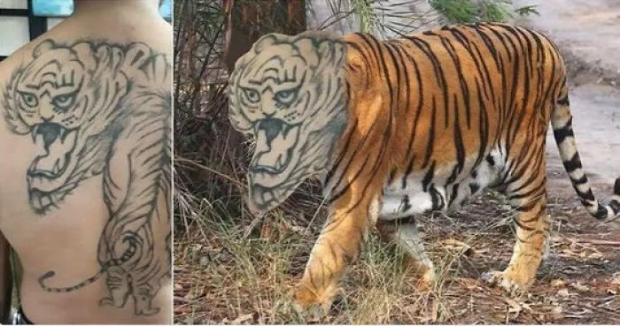 worst-funny-tattoo-fails-64afa2720ea39-png__700.webp