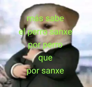 x6ndbc9oecdb1.webp