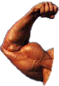 :brazaco2: