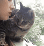 1680449313016288.gif