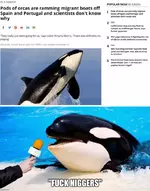 1681335335696923.webp
