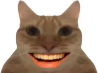 full (47).webp