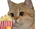 full (13).webp