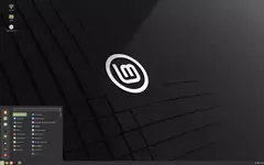 mint.webp