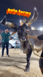 070c93de-bd5c-4a12-b530-d7250cb61552.gif