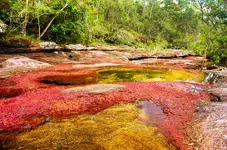 Caño Cristales 03.jpg