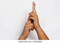 1000026610.webp