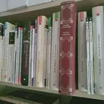 IMG20250208162437_00.webp