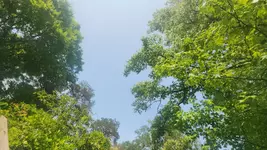 20250601_161531.webp