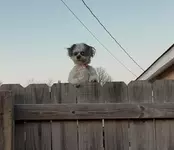 2wlkpp357yl71.webp