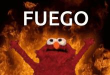FuegoElmoHotGIF.gif