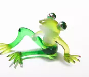 glassfrog2.webp
