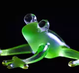 glassfrog4.webp