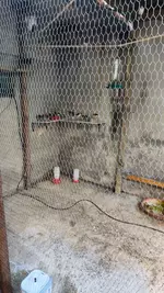 IMG-20251104-WA0003.webp