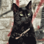 IMG_0535.gif