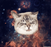 870.gif