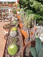 1000060920.webp