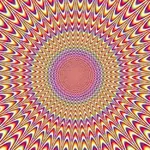 1000084559.webp