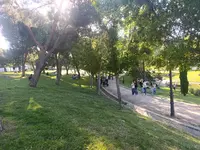 1000038011.webp