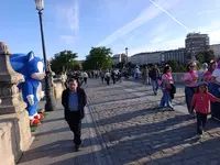 1000038029.webp