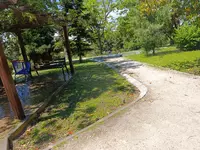1000038080.webp