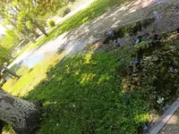 1000038083.webp
