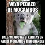 2227305.webp
