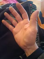 1711954672314459426401764266314.webp