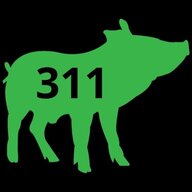 pig311