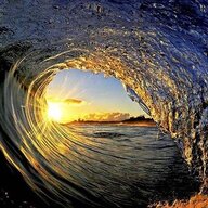 Surfrider