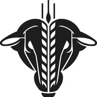 laovejanegra