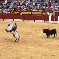 Borja98
