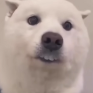 PuchoCulo