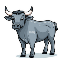 nabo-frontal