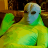 SR.PACO