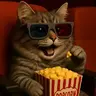 GatoGordo